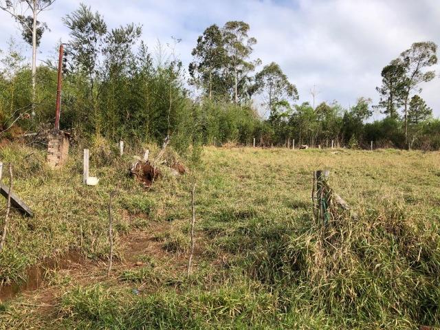 Terrenos em Taquara, 10x40 e 15x40. * - Foto 3