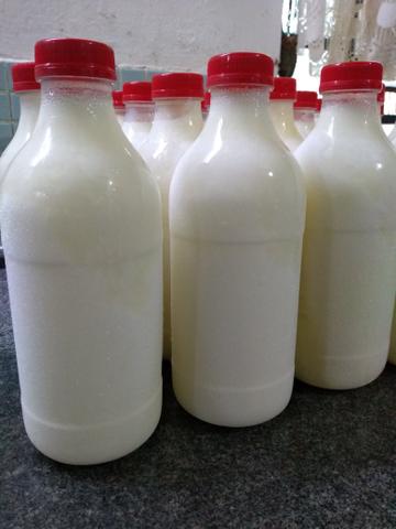 Leite de cabra direto do produtos - Foto 6