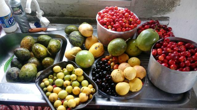 Sitio , fazenda, chácara - Foto 9