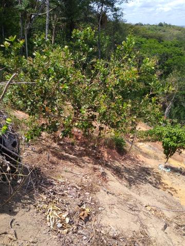 Vende_se sítio em Moreno - Foto 9