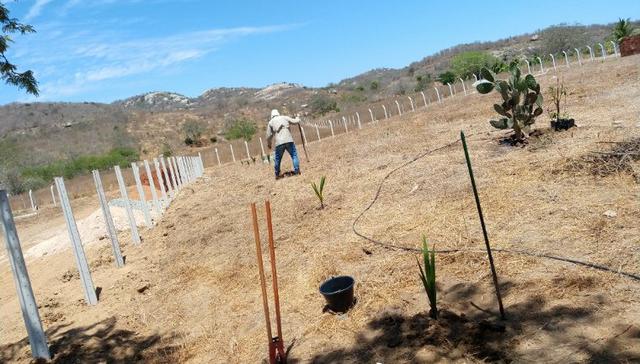 Terreno Lote Chácara CARUARU - Foto 11
