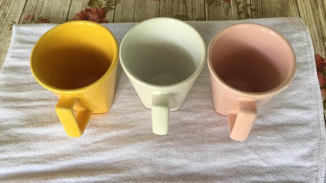 Canelas de Porcelana - Foto 2