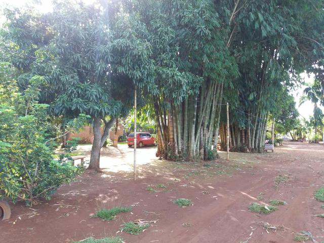 Vendo chácara de 7 hectares com 2 casas 1 cozinha caipira com fogão de lenha