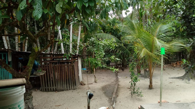 Casa na pratinha em Santa Bárbara - Foto 7