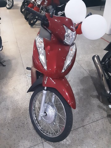 BIZ 110 I ANO 2021 / 2021