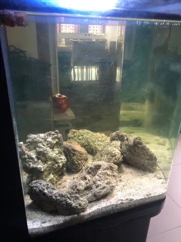 Aquário Boyu Tl 550 128l C/ Móvel - Foto 3