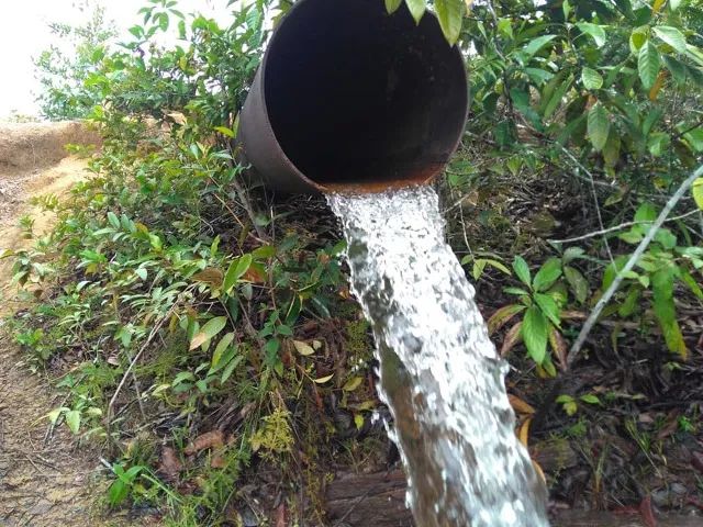 Fazenda 1, lote Plaino, desmatado , proximo da guarita - Foto 3