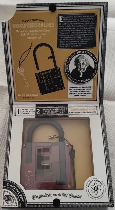 Professor Jigsaw Puzzle Albert Einstein's Lock of Thought - Foto 3
