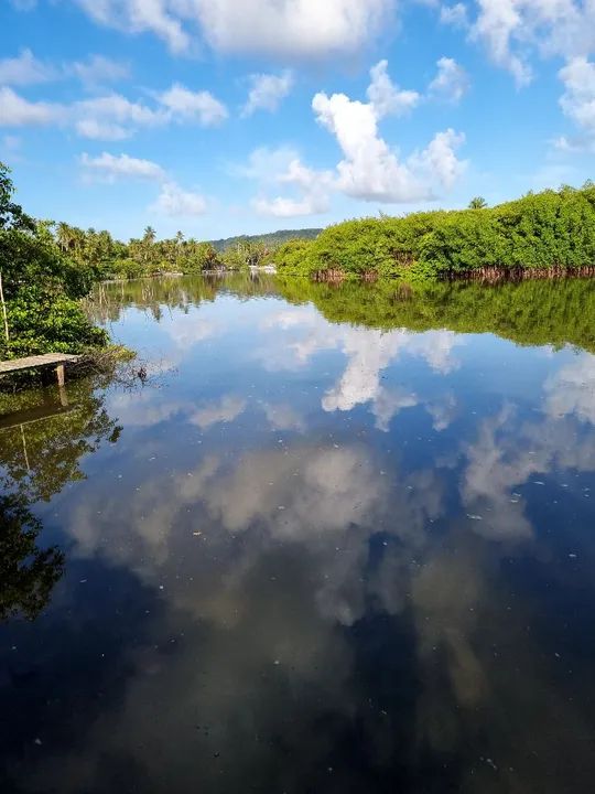 Terrenos em Santa Rita e Barra Nova Mal Deodoro  - Foto 3