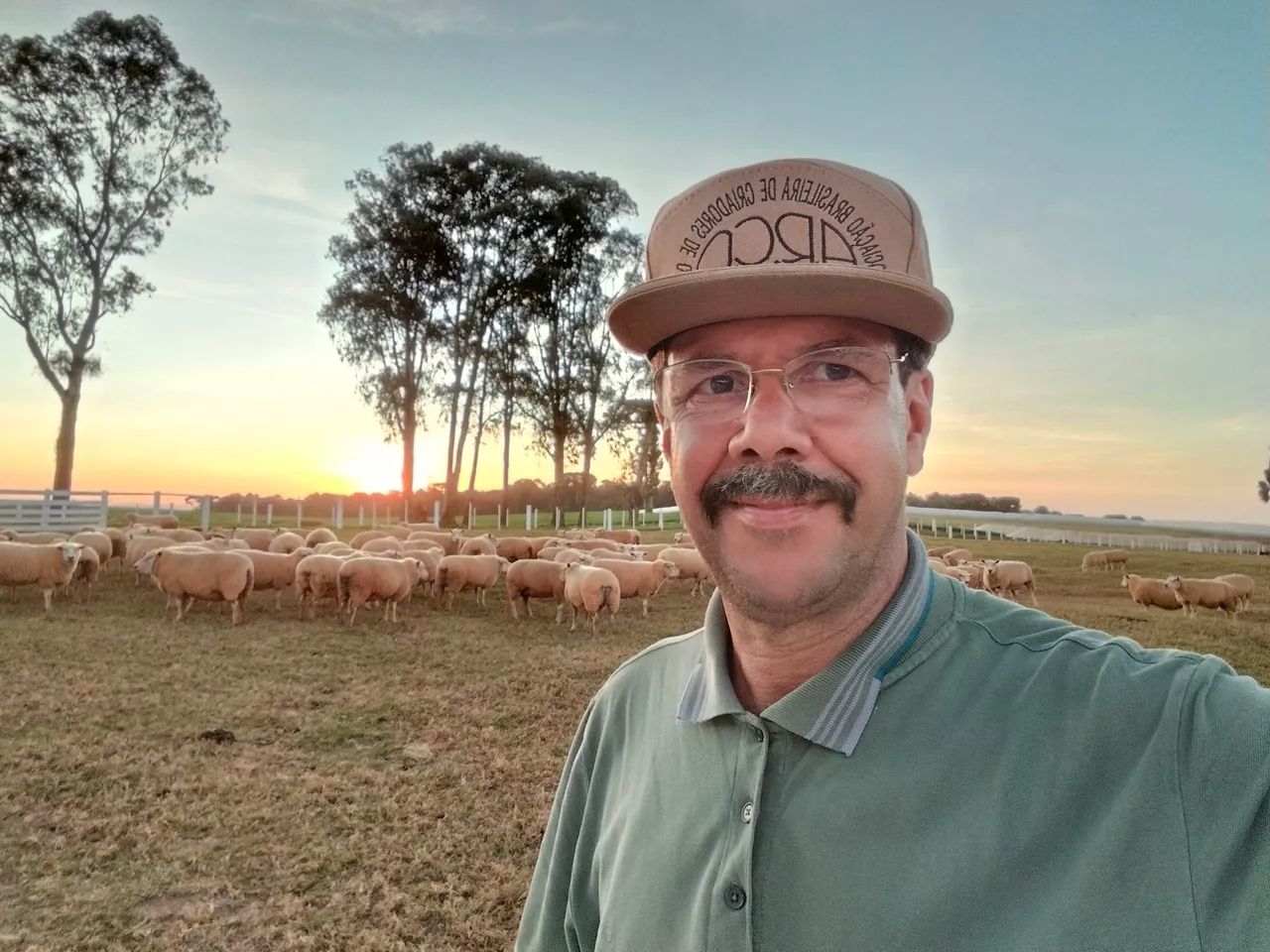 Venda de Carneiros e ovelhas e consultoria - Foto 3