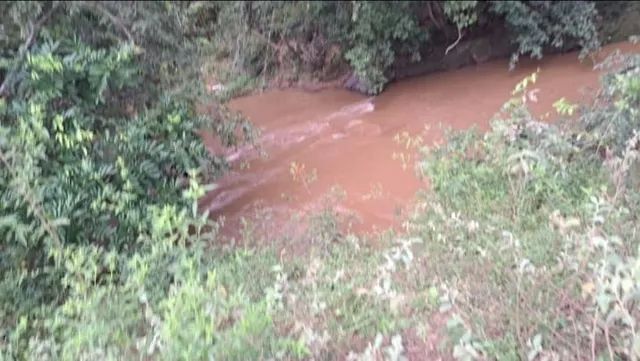 VÊNDO CHÁCARA  - Foto 7