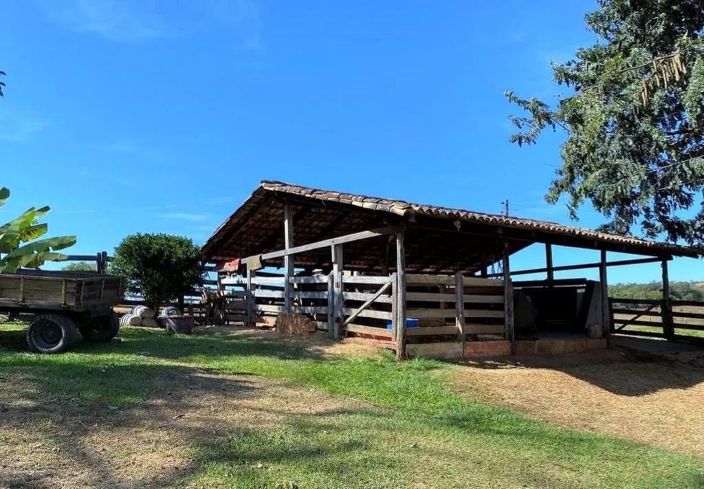 Fazenda município dê Perinopolis  - Foto 5