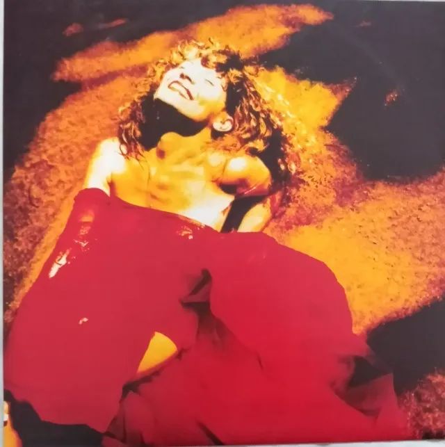 LP-Disco Vinil-Elba Ramalho - Fruto - Ano1988 - Com encarte - Foto 3
