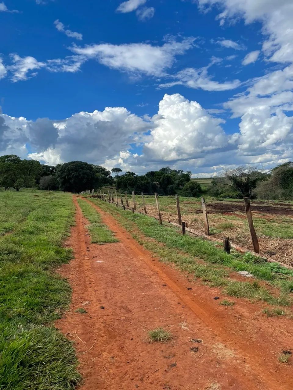 Chácara Neropolis Goiás  - Foto 2