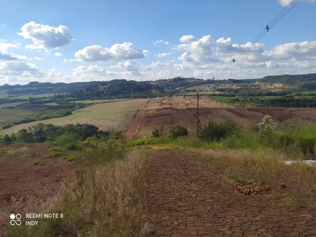 LOTE EM FRANCISCO BELTRÃO