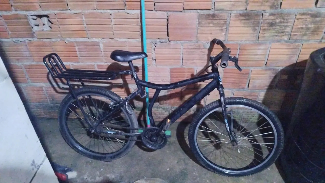 Bike aro 24