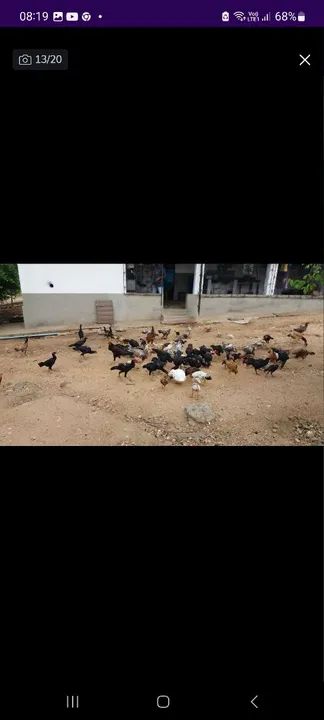 Fazenda em APUIARÉS-CE - Foto 2