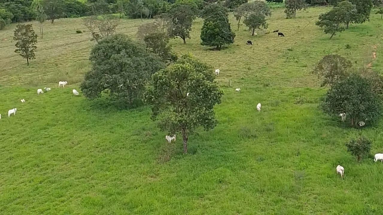 Sítio próximo do prata sentido campina verde 