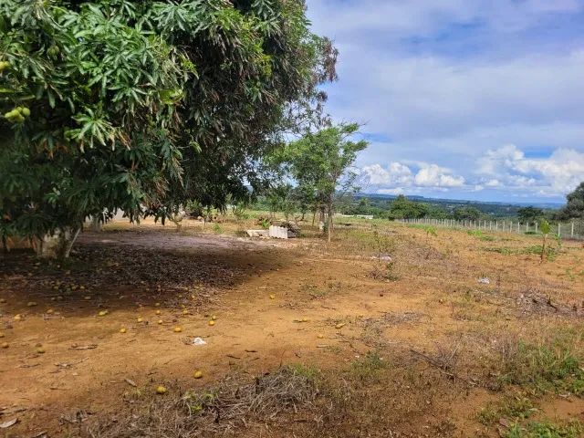 2,5 hectares Padre Lúcio Águas lindas  - Foto 4