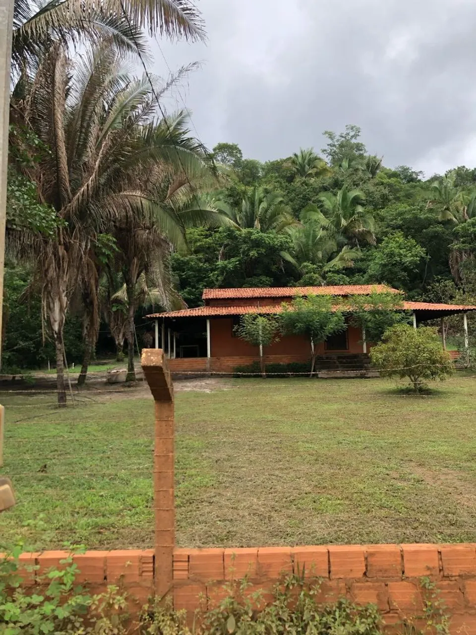 VENDE-SE UM SITIO NO POVOADO BAMBÚ MUNICÍPIO DE TIMON