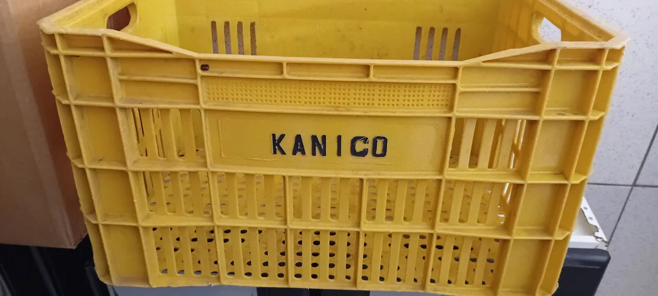 Caixa de Plástico Amarela - Kanico