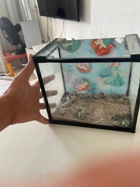 aquário de 7 litros - Foto 2