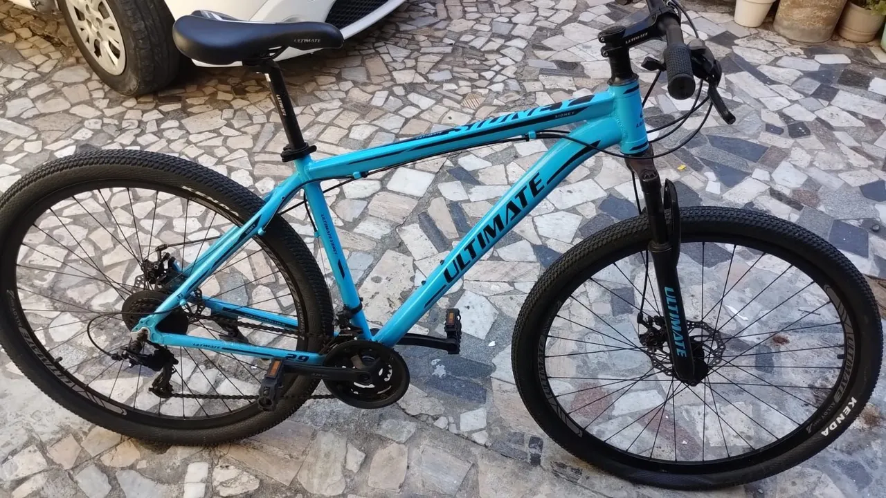 Bicicleta Aro 29 Ultimate
