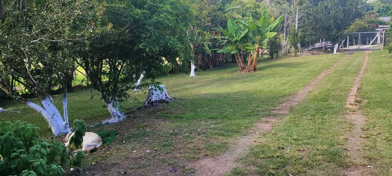 Vendo sítio em Gravataí perto da piscina oasis