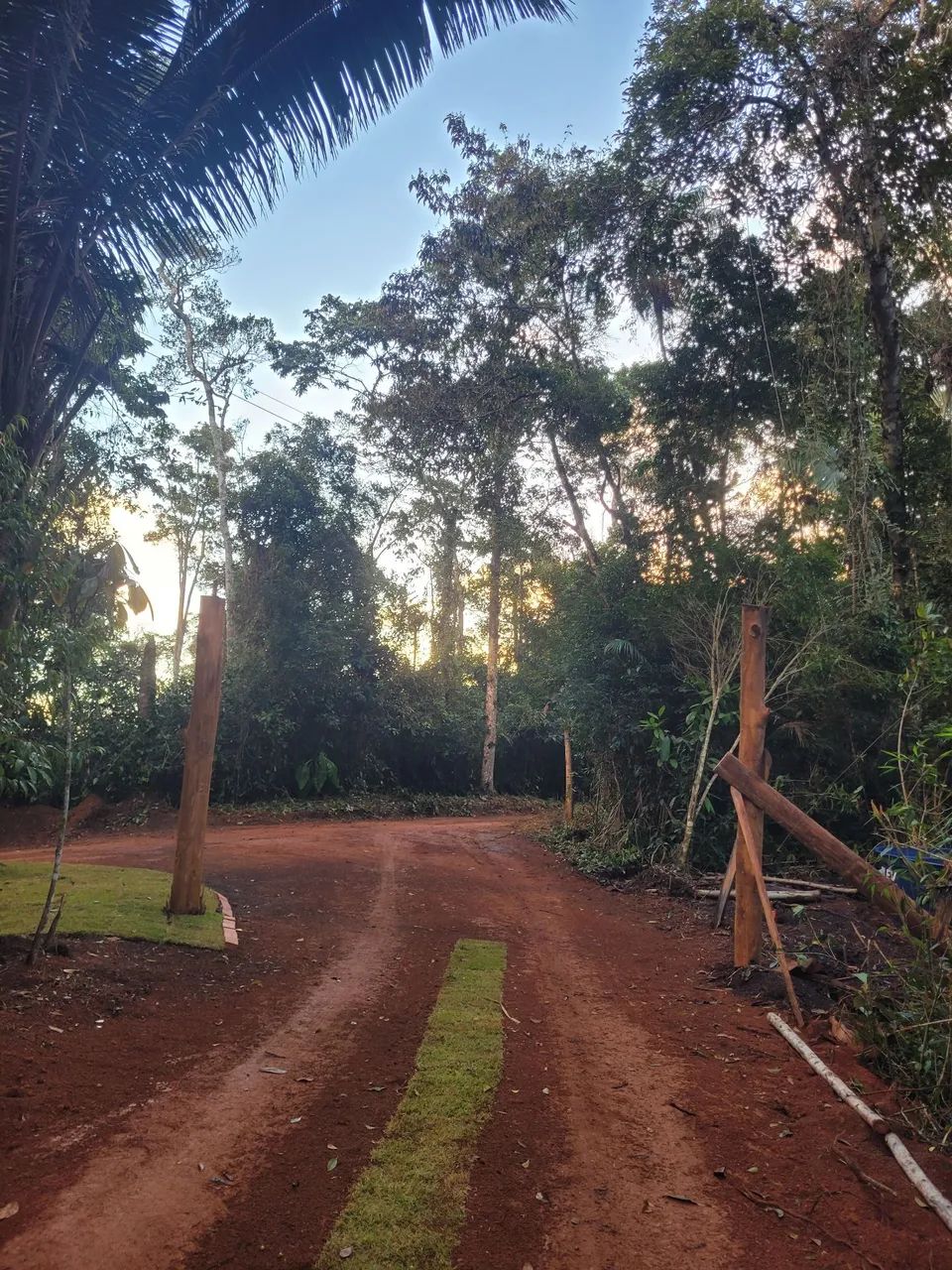 VENDO SÍTIO P/ CHALÉS: 20.000m2, ESCRITURA/MATRÍCULA! 3 PLATÔS, 2 NASCENTES, STA TERESA/ES - Foto 5
