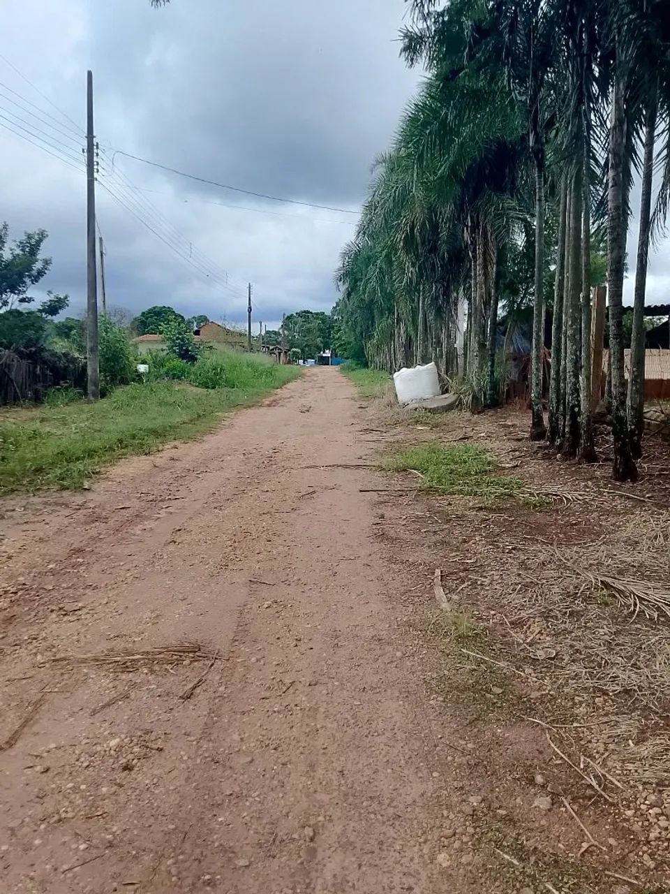 Vendo chácara na Mombuca  - Foto 3