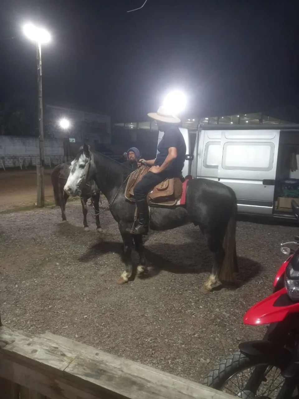 Vendo cavalo tordilho quarto de milha  - Foto 5