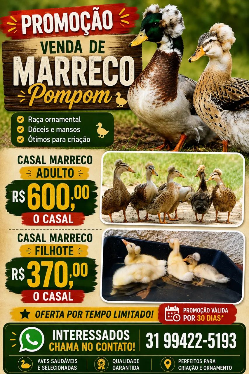 Marreco Pompom 