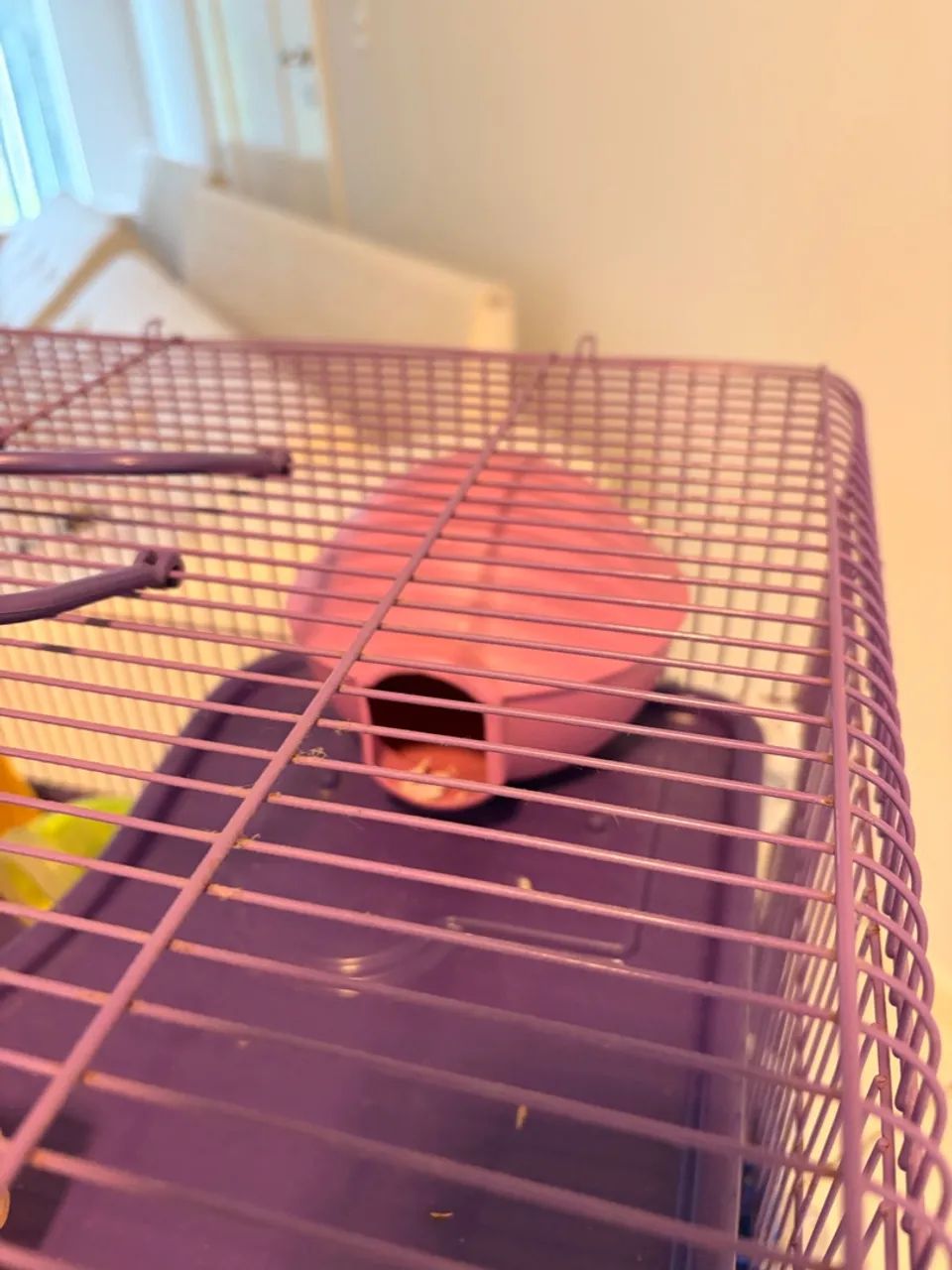 Gaiola para Hamster completa!  - Foto 3