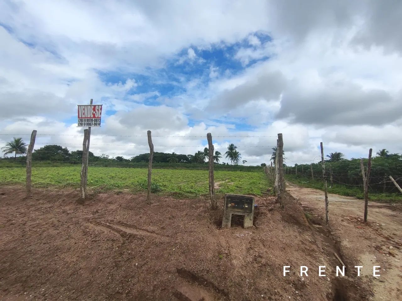 TERRENO DE 13 TAREFAS EM SALGADO/SE - Foto 3