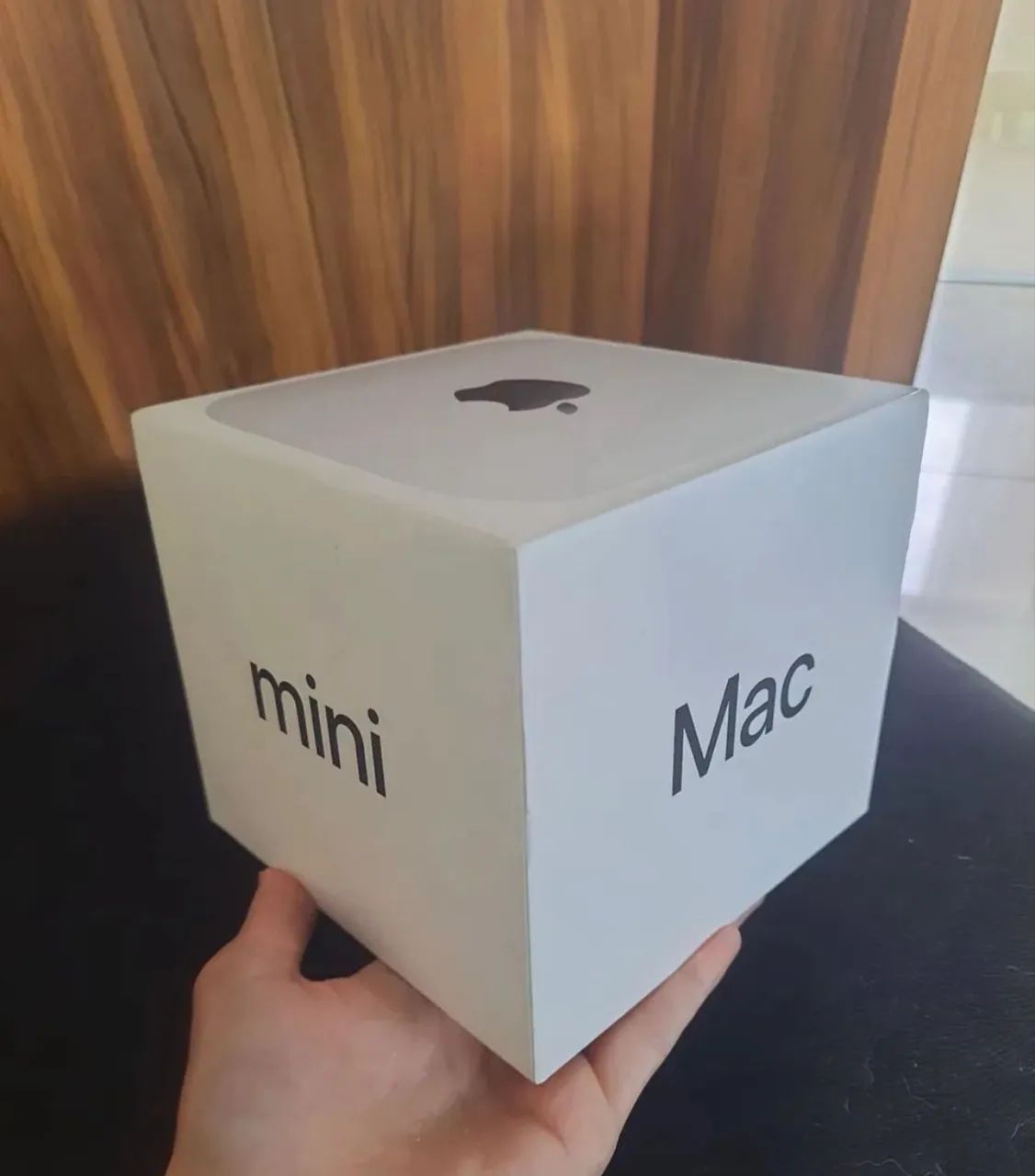 Mac Mini M4- 512 gb - 16 RAM NOVO LACRADO 
