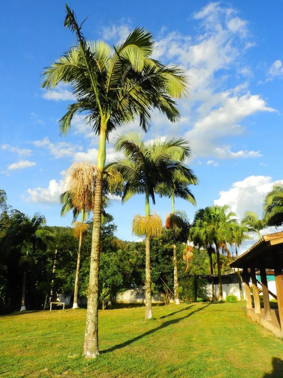 Chacara com piscina em monteiro lobato - Foto 2