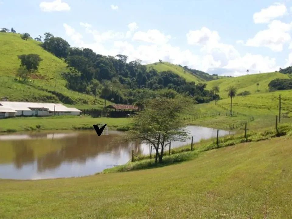 LINDA FAZENDA - Foto 3