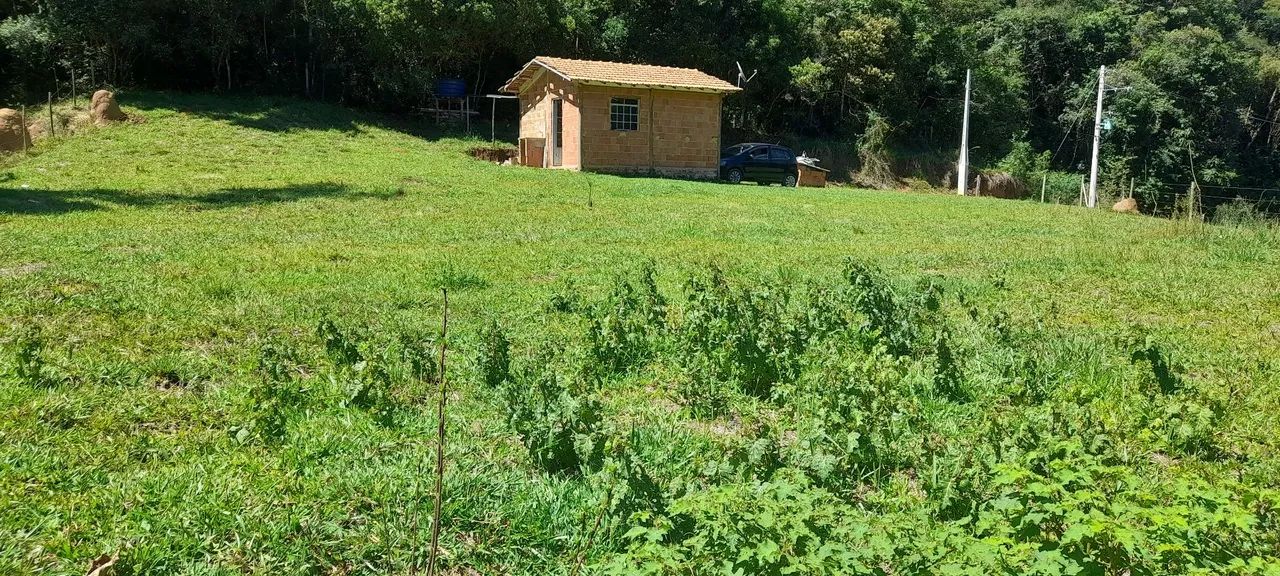 Terreno  - Foto 2