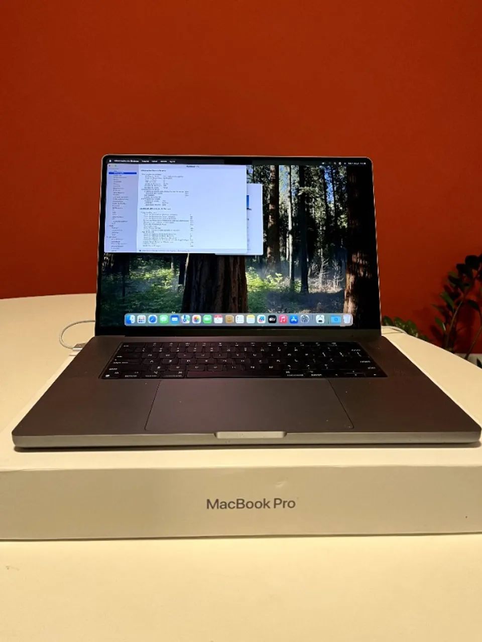Apple Macbook Pro 16pol (16gb, Chip M1 Pro 512 Gb Ssd) - Notebooks