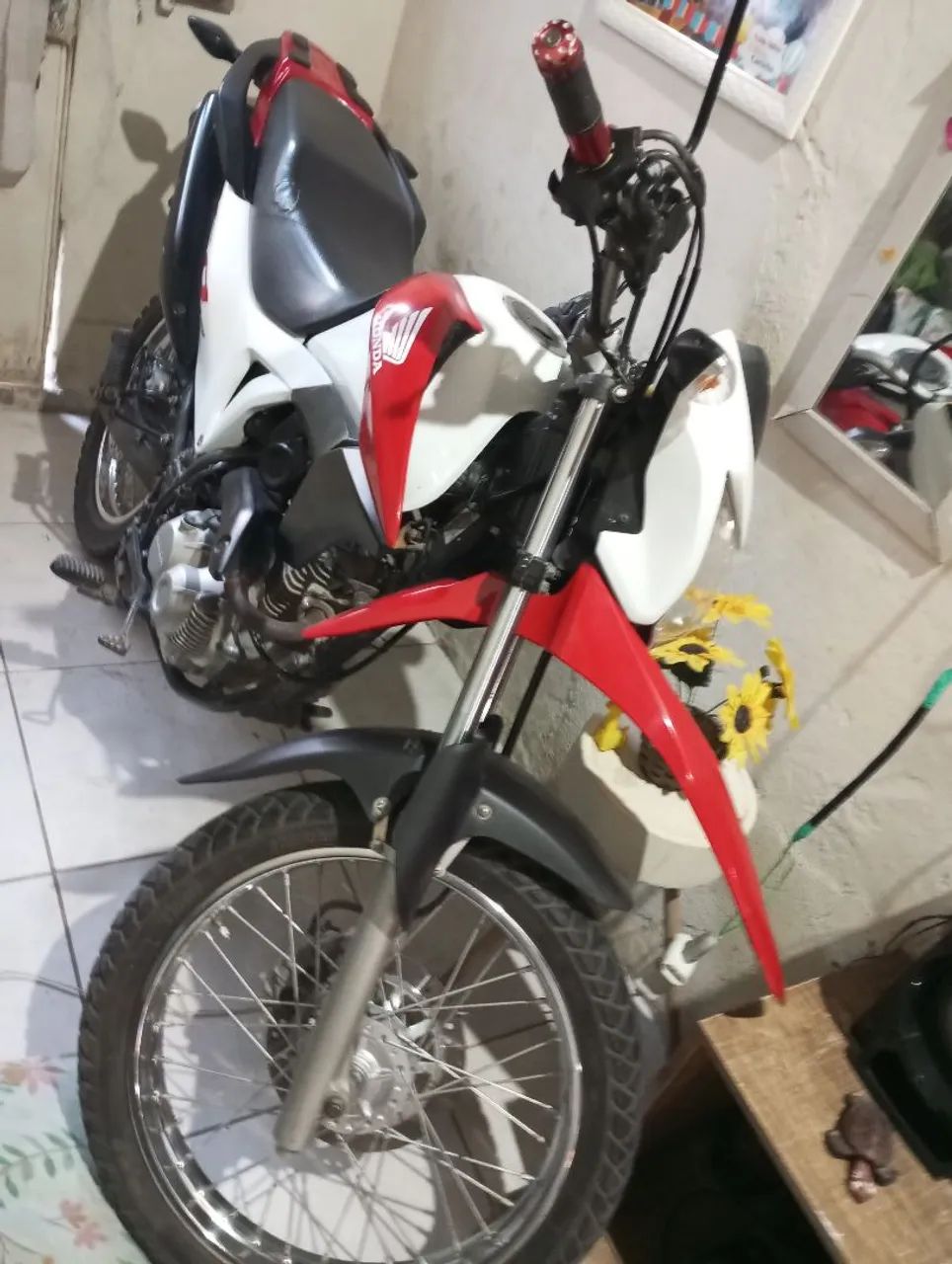 Almira Antônia santos  - Foto 3