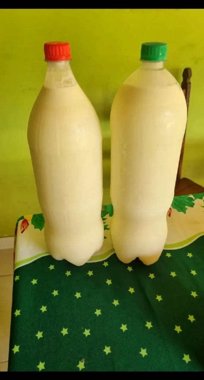 QUEIJO, LEITE, DOCE DE LEITE direto do sitio