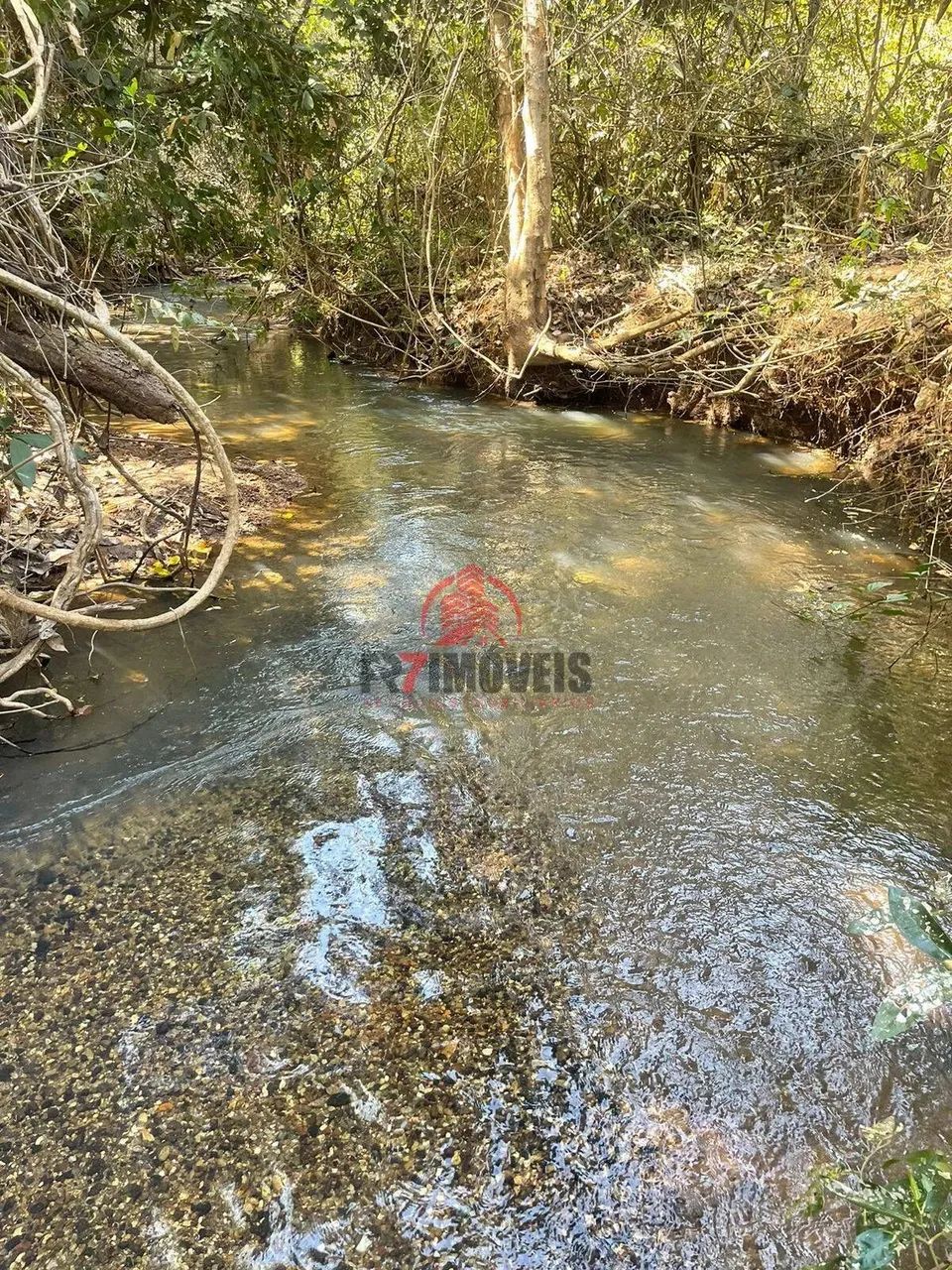 CHÁCARA EM CALDAZINHA DE GOIÁS - Foto 2