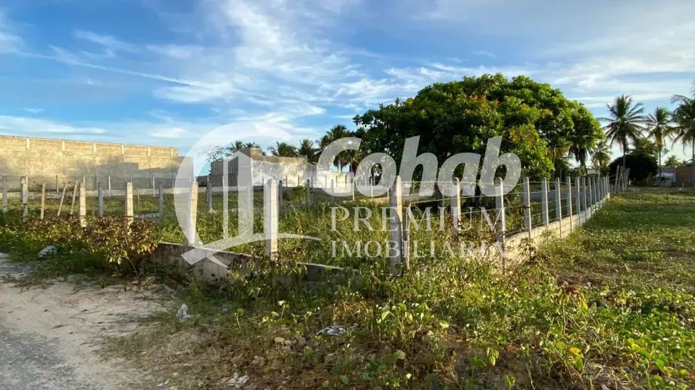 BELO TERRENO NO ROBALO NA ESTRADA DOS TRÊS PORQUINHOS NO ROBALO - Foto 2