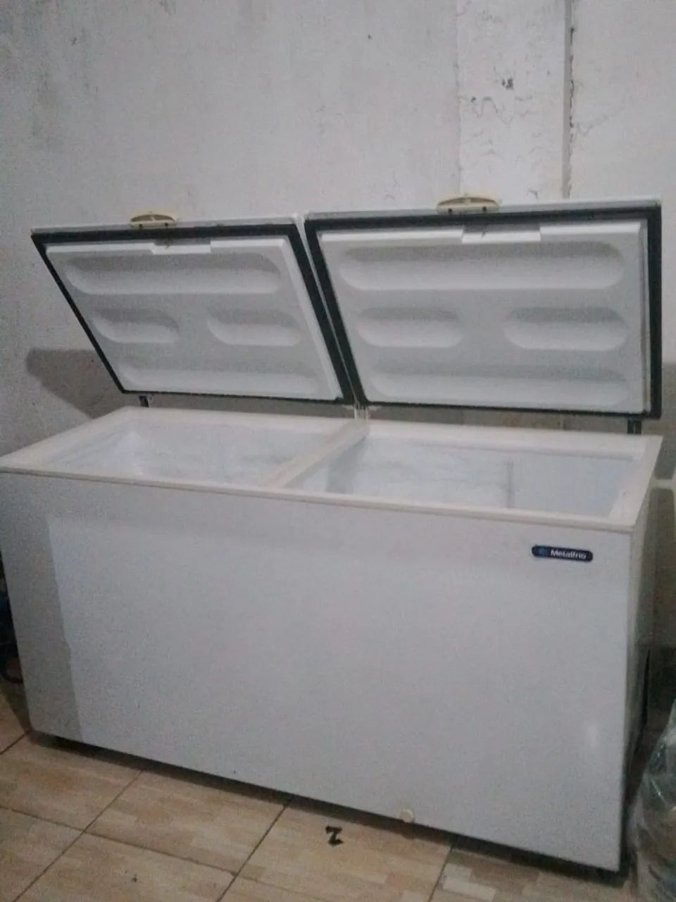 Frizz 543l grande e boa
