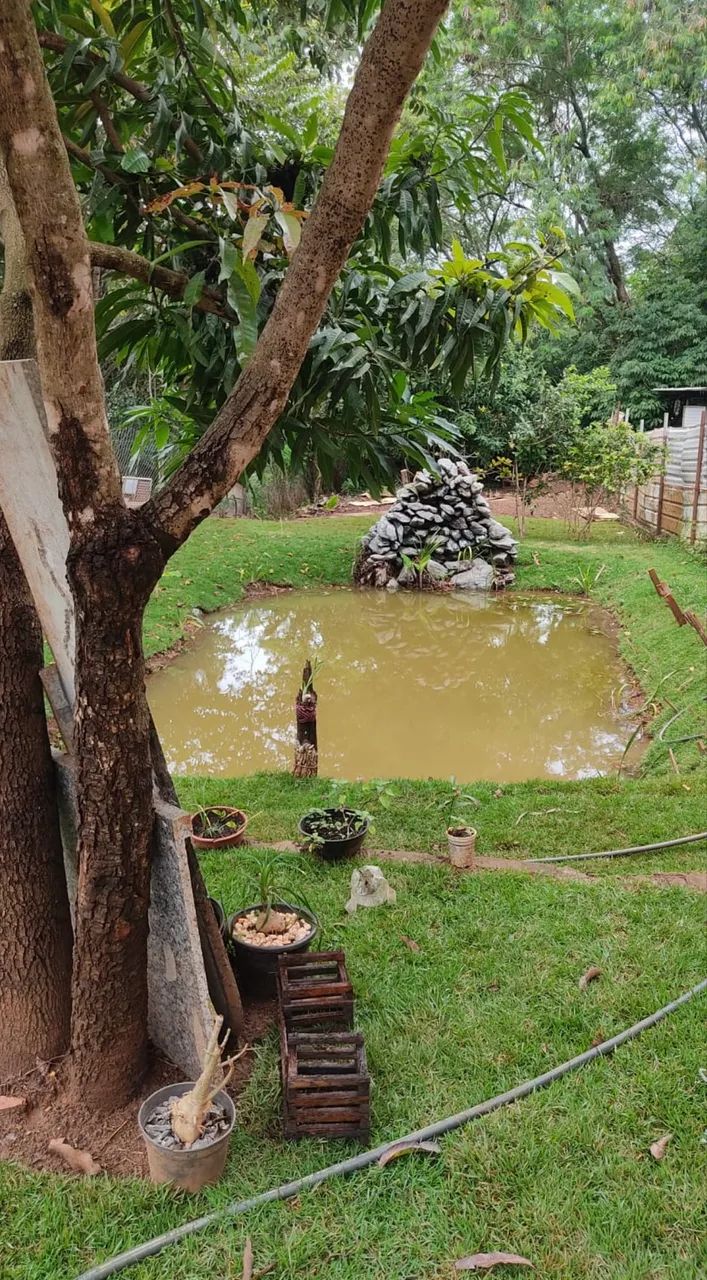 Mini Chácara Dentro de Goiânia!