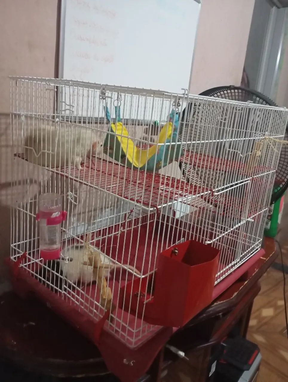 Vendo gaiola para rato twister - Foto 2