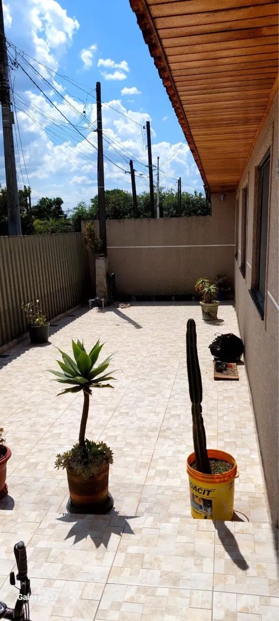 Foto - São José dos Pinhais - Ipê