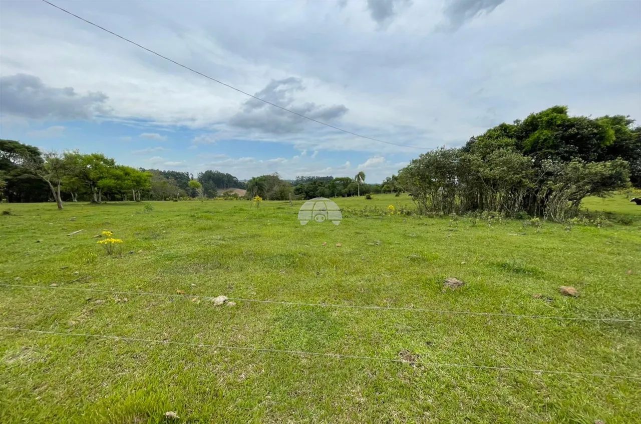 Vendas Chácara Pato Branco PR - Foto 2
