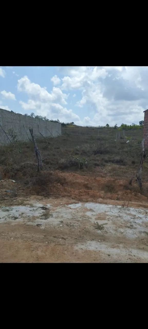 Terreno 10×25