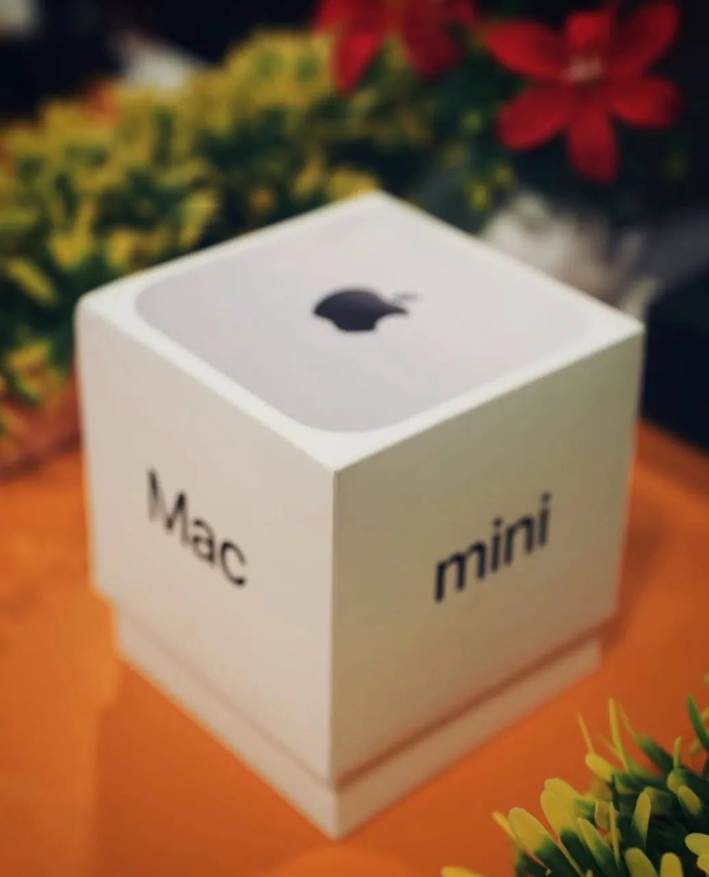 APPLE MAC MINI M4 256/16GB - LACRADO  - Foto 2